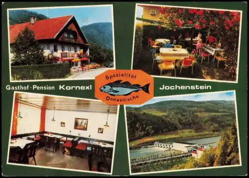 Ansichtskarte Jochenstein-Untergriesbach Gasthof-Pension Kornexl 1976