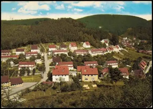 Bad Grund (Harz) Panorama-Ansicht Blick vom Knollen zur Siedlung 1970