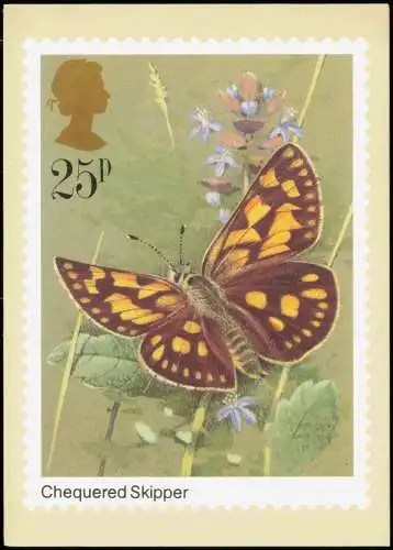 Butterflies (Chequered Skipper) Schmetterling England Künstlerkarte 1981