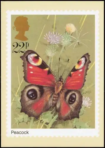 Butterflies (Peacock) Schmetterling England Künstlerkarte 1981