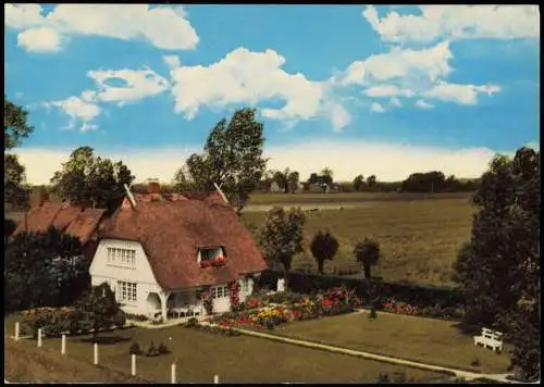 Ansichtskarte Kollmar Haus Mathilde Greve am Elbdeich mit Reetdach 1970