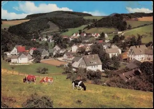 Ansichtskarte Bonzel Sauerland-Lennestadt Stadtpartie Kühe 1976
