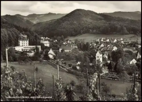 Ansichtskarte Sulzburg Stadt mit Weinreben 1971
