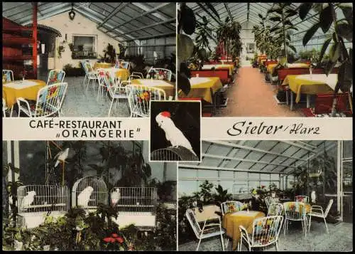 Sieber (Herzberg am Harz) Mehrbildkarte CAFÉ-RESTAURANT Pension Orangerie 1968