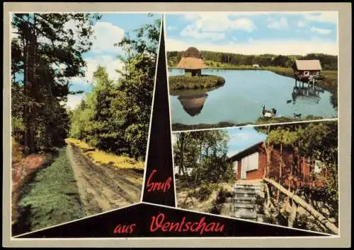 Ansichtskarte Ventschau-Tosterglope Gruss aus... Waldweg, Teich, Treppe 1973