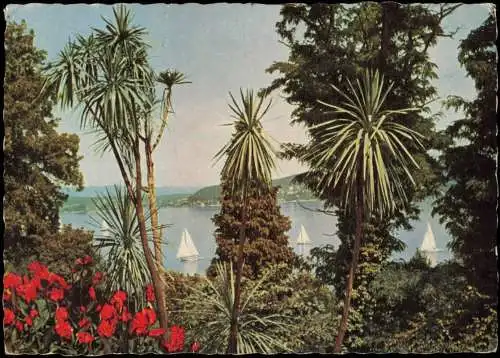 Ansichtskarte Konstanz Tropeninsel Bodensee 1967