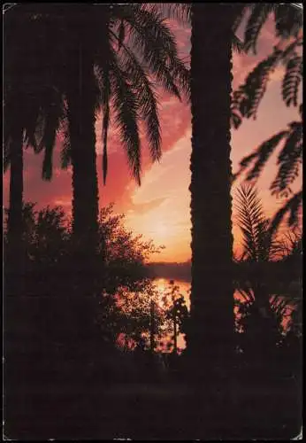 Postcard Basrah Basra Sun Set at Shat Al-Arab 1982  Irak Iraq