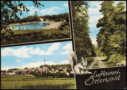 Osterwald Kr. Hameln Mehrbildkarte mit Ortsansichten u.a. Freibad 1993/1970