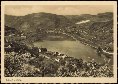 Salesel Dolní Zálezly Dorfansicht mit Elbe und blühenden Bäumen 1935