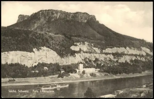 Ansichtskarte Porschdorf-Bad Schandau Lilienstein, Elbdampfer 1956/1959