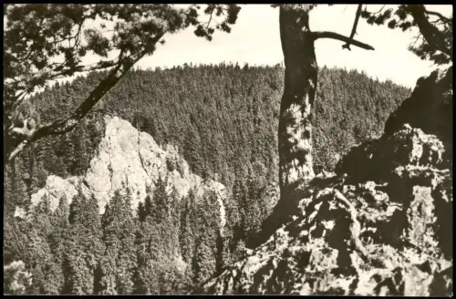 Ansichtskarte Tabarz/Thüringer Wald Blick nach dem Aschenbergstein 1958/1960
