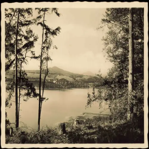 Thammühl-Hirschberg am See Staré Splavy Doksy Blick auf See mit Bäumen 1941