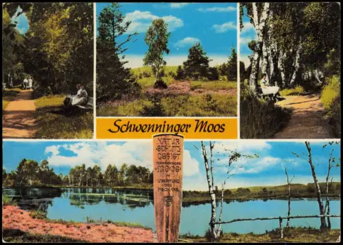 Schwenningen-Villingen-Schwenningen Naturlandschaft Schwenninger Moos 1975