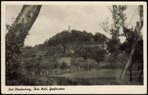 Ansichtskarte Bad Blankenburg Umland-Ansicht mit Burgruine Greifenstein 1930