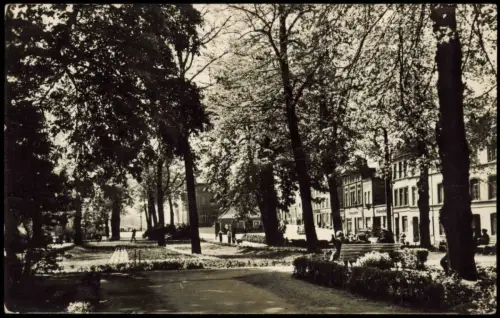 Ansichtskarte Wismar Lindengarten 1957