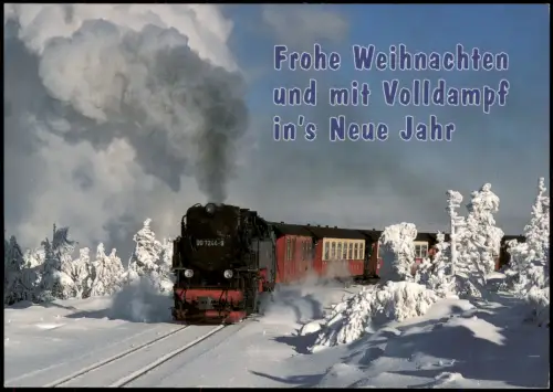 Ilsenburg (Harz) Harzer Schmalspurbahn in der Brockenspirale 1998