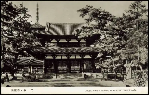Nara 奈良市 MIDDLE-GATE (CHUMON) IN HORYUJI TEMPLE. Nippon Japan 1972
