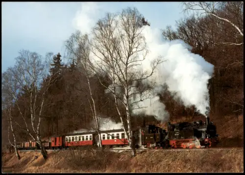 Selketalbahn Gernroder-Harzgeroder Eisenbahn Dampflok 99 6102-0 Hermann 1999