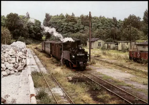 Löthain-Käbschütztal Dampflok 99 1539-8 mit Zug im Bahnhof Löthain 1972