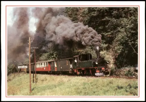 Wachau (Sachsen) Dampfzug bei der Ausfahrt aus dem Bahnhof Seifersdorf 1989