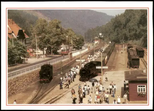 .Sachsen Bahnhof Kurort Kipsdorf mit Dampflokomotiven und Besuchern 1989