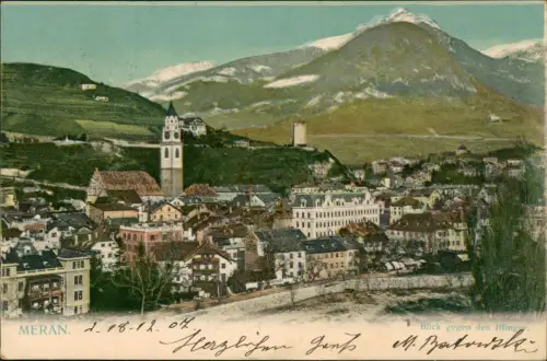 Cartolina Meran Merano Stadtpartie 1907