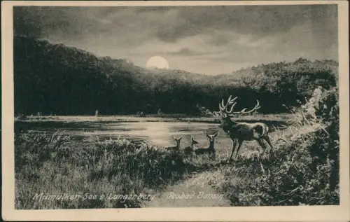 Bansin-Heringsdorf Usedom Mümülken See b Langenberg Mondschein 1911