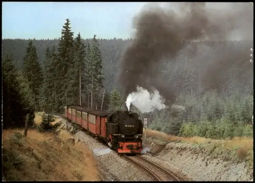 Ansichtskarte  Harzquerbahn / Harzbahn - Bei Benneckenstein 1989