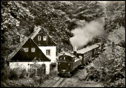 .Sachsen Traditionsbahn Radebeul Ost-Radeburg Malerwinkel im Lößnitzgrund 1985
