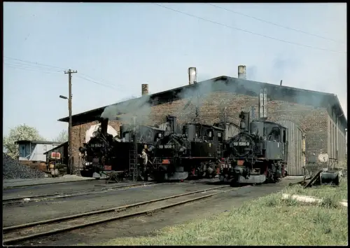Ansichtskarte  Schmalspurdampflokomotiven vor dem Lokschuppen in Mügeln 1980