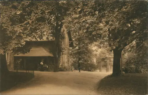 Ansichtskarte Altona-Hamburg Donners-Park Eingang 1914