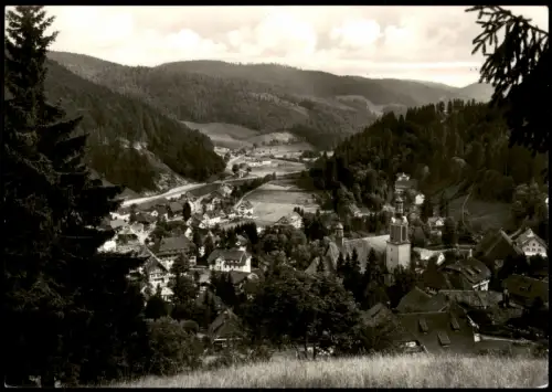 Ansichtskarte Todtmoos Stadtblick 1968