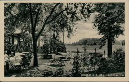 Diesbar (Elbe) Nünchritz (Elbe) Rosengarten Restauration b Meißen 1964