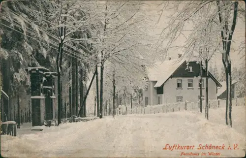 Ansichtskarte Schöneck (Vogtland) Forsthaus im Winter 1922