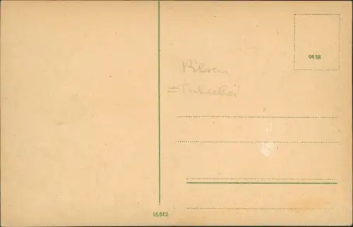 Postcard Pilsen Plzeň Kopeckého sady. 1919