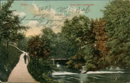 Ansichtskarte Erfurt Nase beim Louisenpark 1908