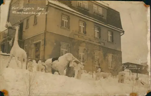 Sachsenberg-Georgenthal-Klingenthal Kurt Honer's Zoo Dekorationsmaler 1924