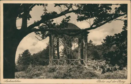 Ansichtskarte Aschersleben Partie auf der Burg 1922