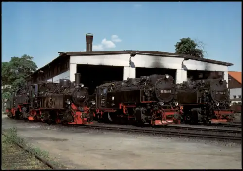 Wernigerode Lokomotivparade der Harzer Schmalspurbahnen am Lokschuppen 1998