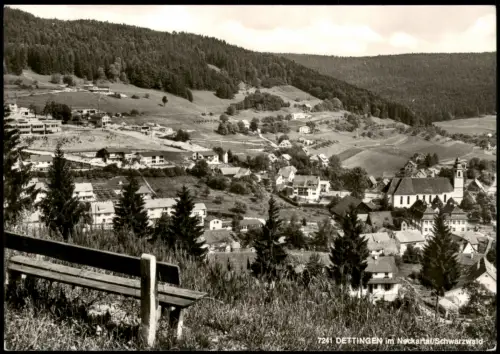 Dettingen Schwarzwald-Horb am Neckar Blick auf die Stadt - Fotokarte 1972