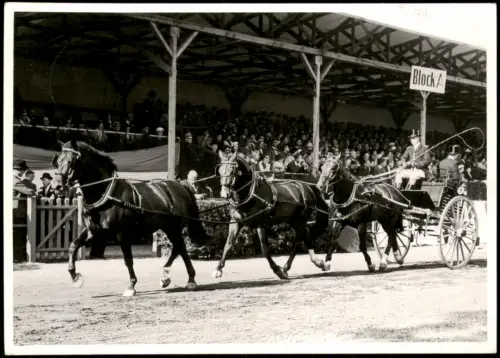 Ansichtskarte  Stadion Pferde Parade Wagen 1959  gel. Stempel Bremerhaven