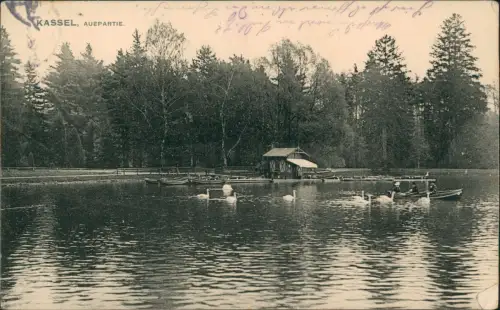 Ansichtskarte Kassel Bootsanleger Auepartie 1906
