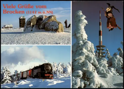 Ilsenburg (Harz) Brocken im Winter mit Dampflok  Schmalspurbahnen  2000