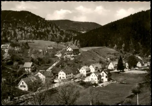 Ansichtskarte Bad Herrenalb Stadtpartie 1965
