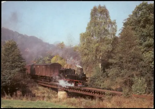 Ansichtskarte Streckewalde Güterzug mit Lokomotive 99 1585-1