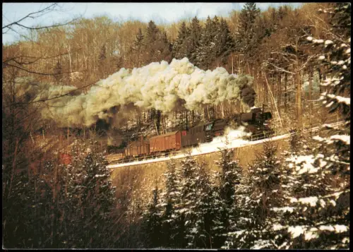 Rekodampflokomotive 50 3698 mit Nahgüterzug bei Grünhainichen-Borstendorf 1985