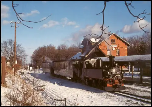 Bertsdorf-Hörnitz Dampflok 99 584 mit Sonderzug im Bahnhof Bertsdorf 1999