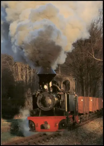 Ansichtskarte .Sachsen Waldeisenbahn Muskau mit Güterzug 1999