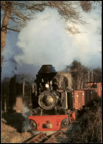 .Sachsen Dampflok 99 3312-8 der Waldeisenbahn Muskau mit Güterzug 1999
