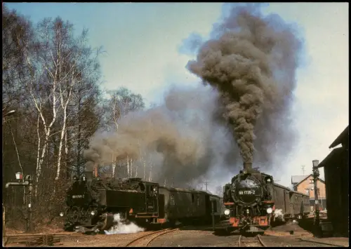 Bertsdorf-Bertsdorf-Hörnitz Dampflokomotiven 99 1759 und 99 1735 1989